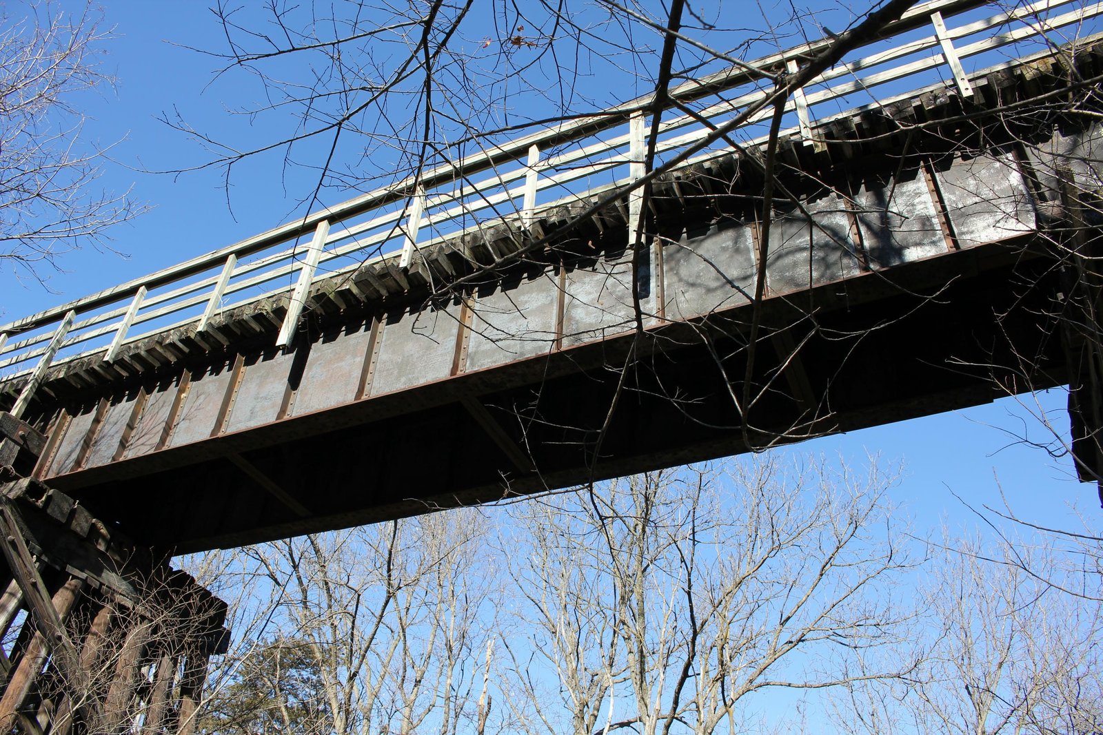 Main span (span #6)